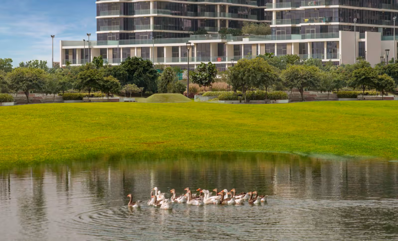 DAMAC Loreto #4